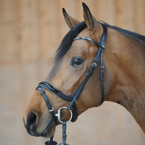 Patent Noseband Dressage Bridle