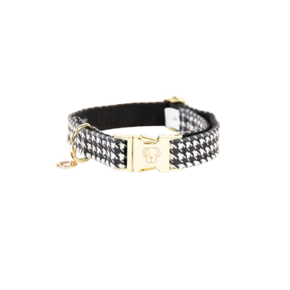 Kentucky dog collar