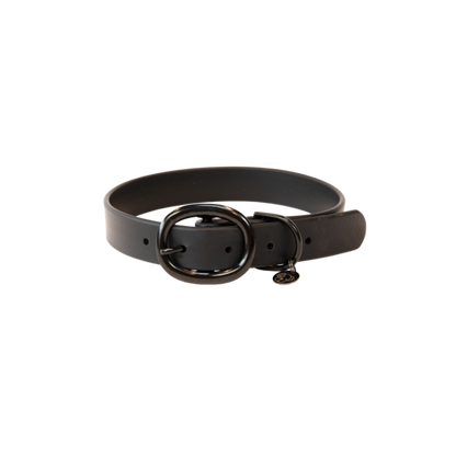 Kentucky dog collar