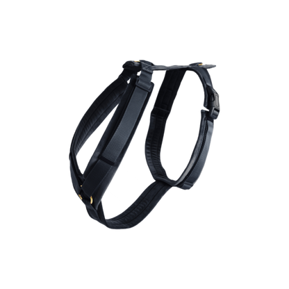 Kentucky Dogwear
Dog Harness Active Velvet  Black