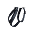 Kentucky Dogwear
Dog Harness Active Velvet  Black