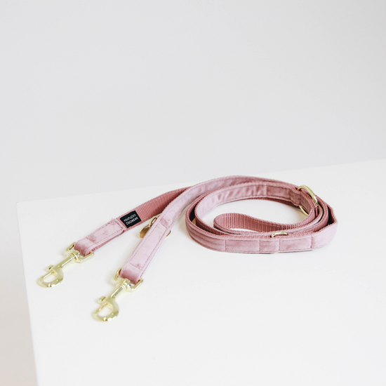 Kentucky Dogwear Dog Lead Velvet 200 cm
