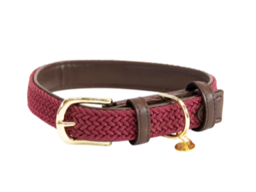 Burgundy Dog Collar
