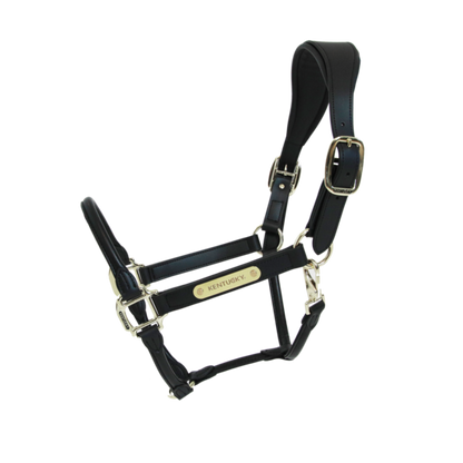 Anatomic Leather Halter Black