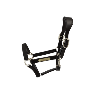 Kentucky Horsewear
Nylon Anatomic Halter Black