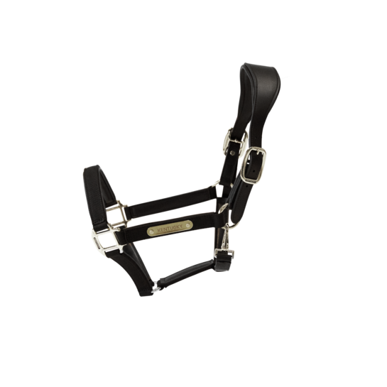Kentucky Horsewear
Nylon Anatomic Halter Black