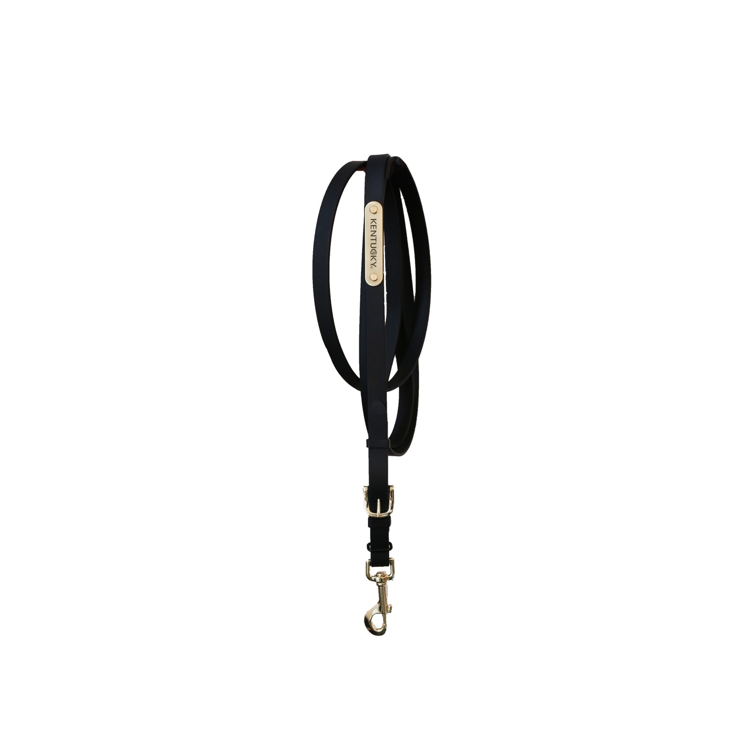 Kentucky Presentation Lead Rope