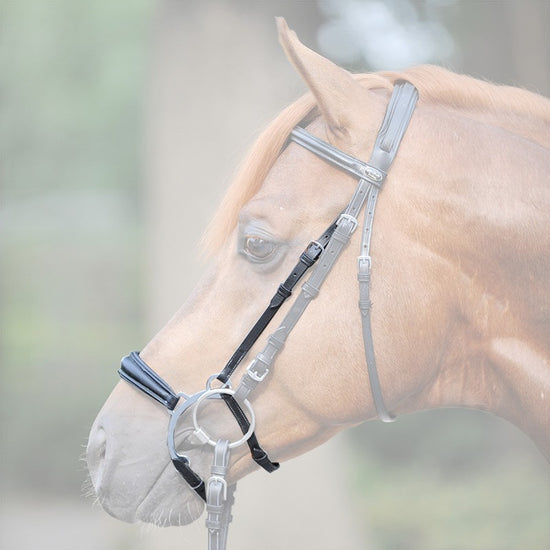 Kineton Noseband