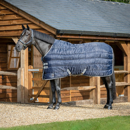 Lemieux Arika Stable Tek Rug 100g