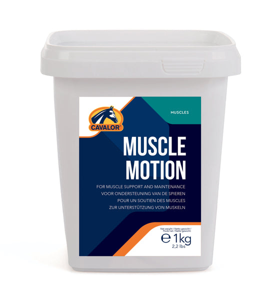 Muscle supplement for horses