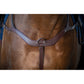 5 point anatomic breastplate
