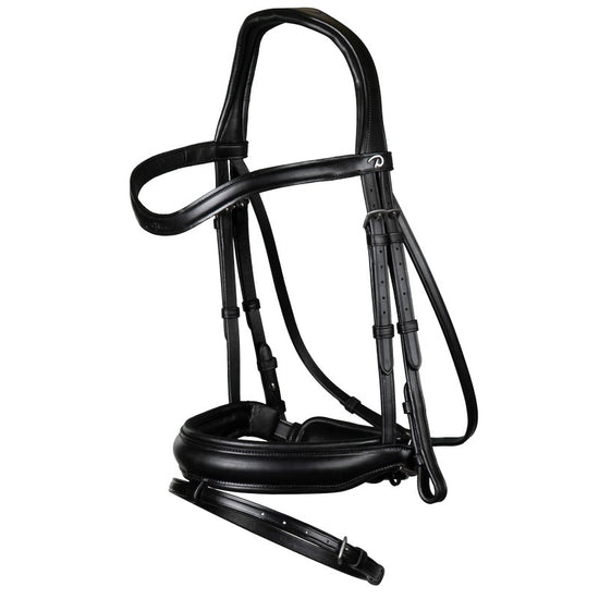 Dressage Bridle with large noseband