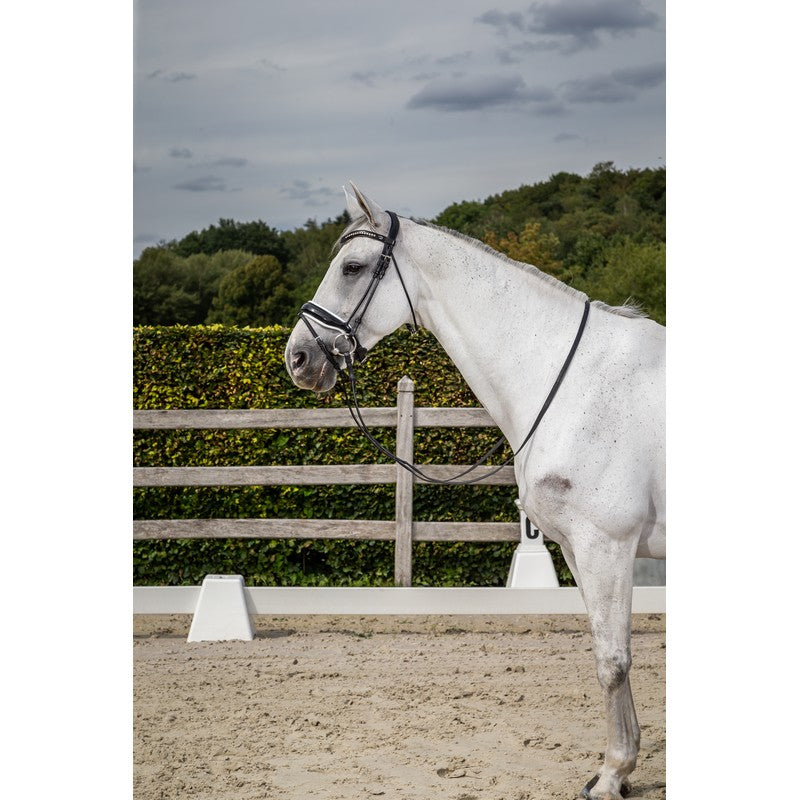 Patent noseband bridle with white