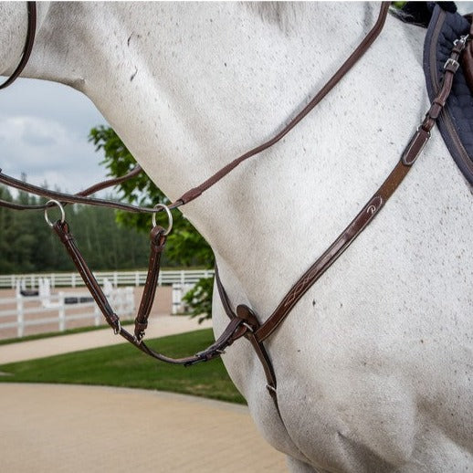 Running martingale attachment