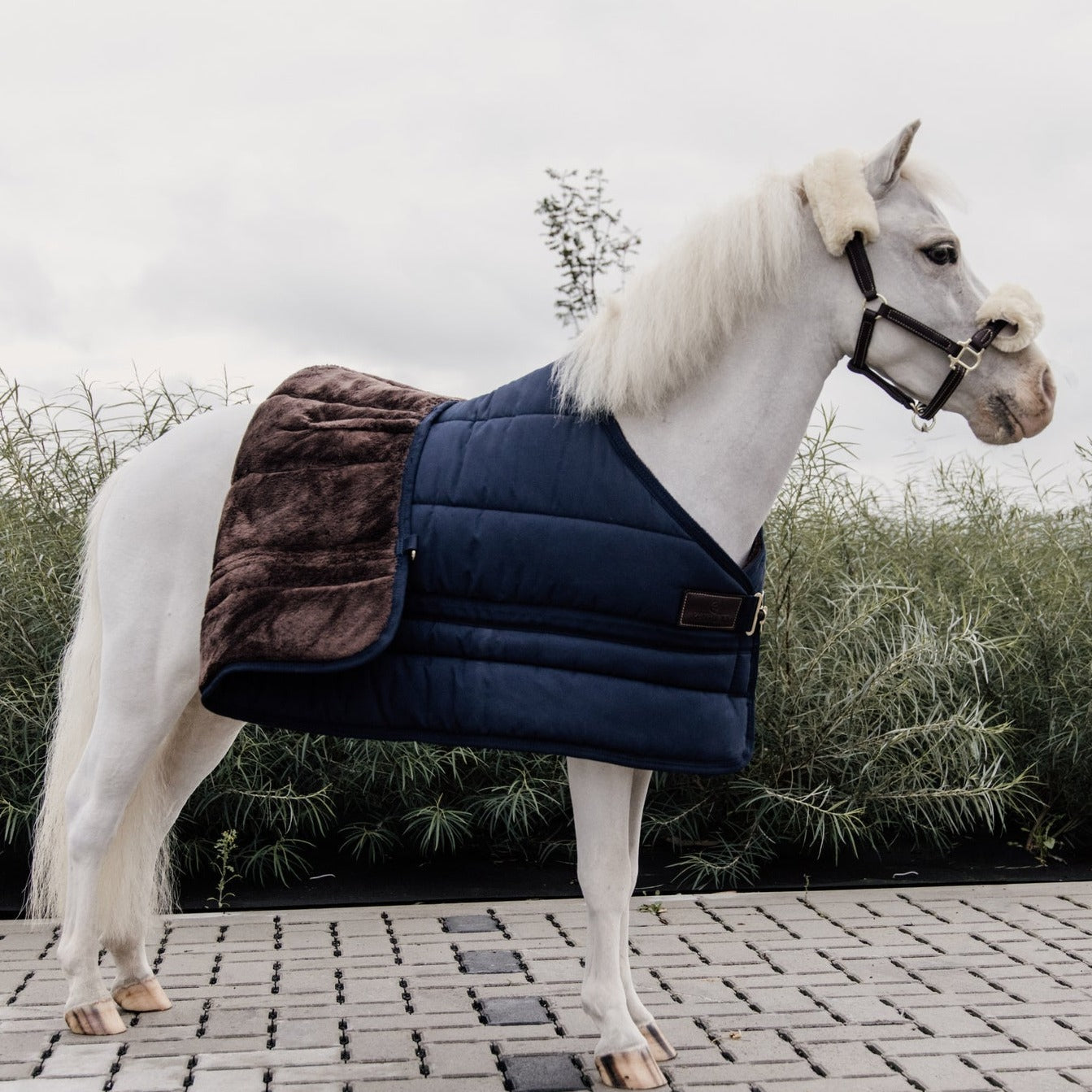 Best stable rugs for ponies