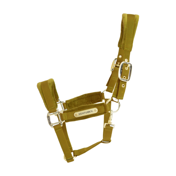Mustard Head collar for horses