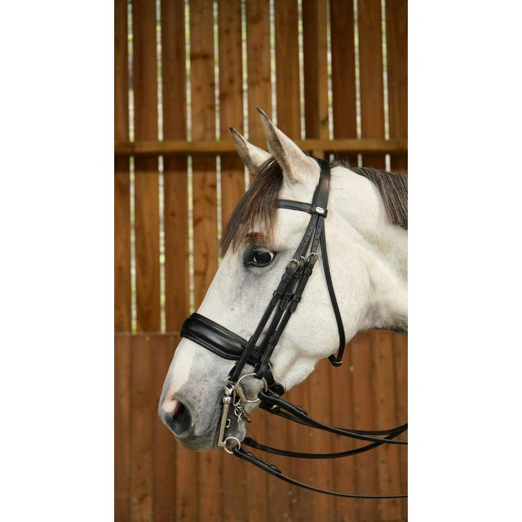Affordable double bridle