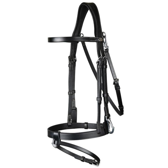 Cheap work bridle with clips