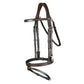 Bridle with bit clips