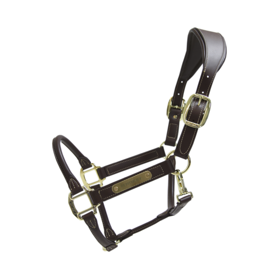 Vegan Leather Anatomic Halter