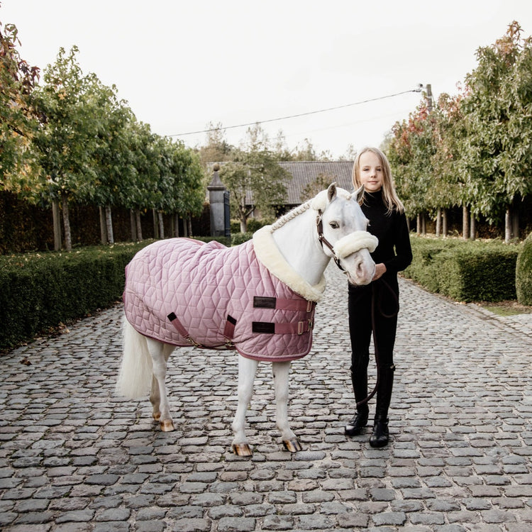 Pink horse rug