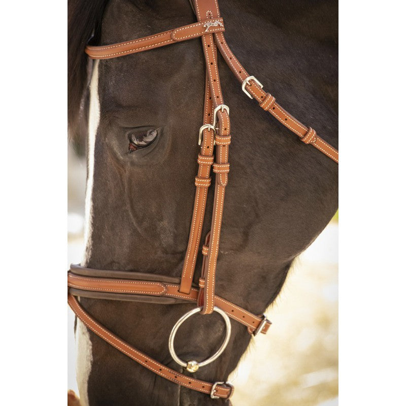 Anatomical bridle for horses with a softly lined headpiece.