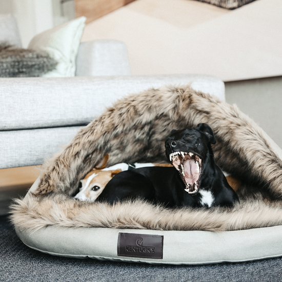 Big cosy soft bed for dogs