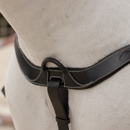 Anatomic Breastplate