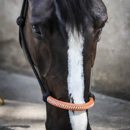 Penelope rope halter for horse groundwork and handling.