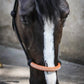 Penelope rope halter for horse groundwork and handling.