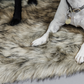 Hondenbed Fuzzy Blanket to Go