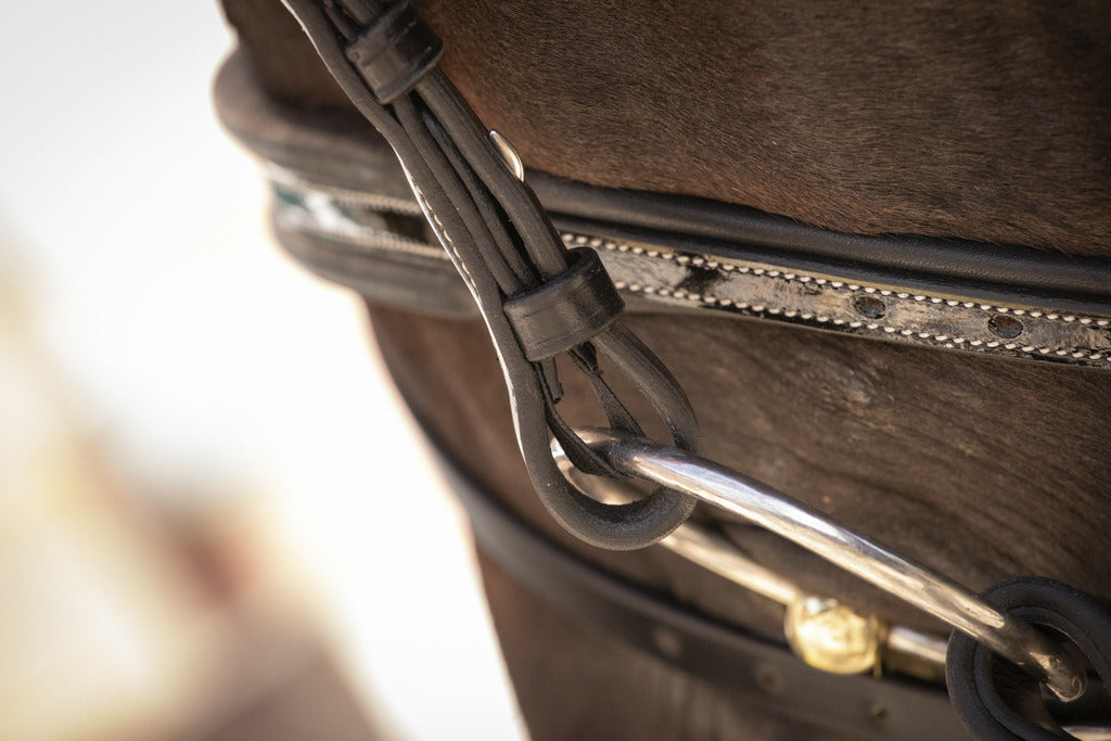 Competition bridle for horses with elegant patent leather detailing.