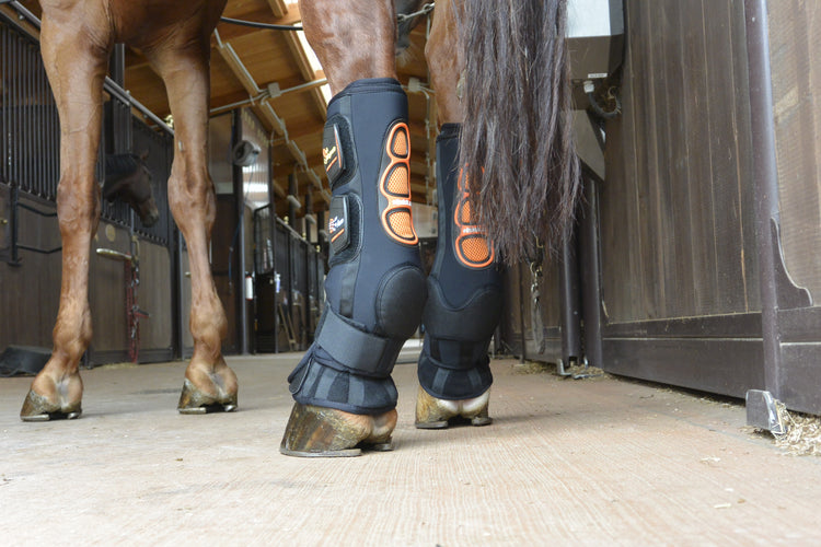 Magnetic Boots for Horses