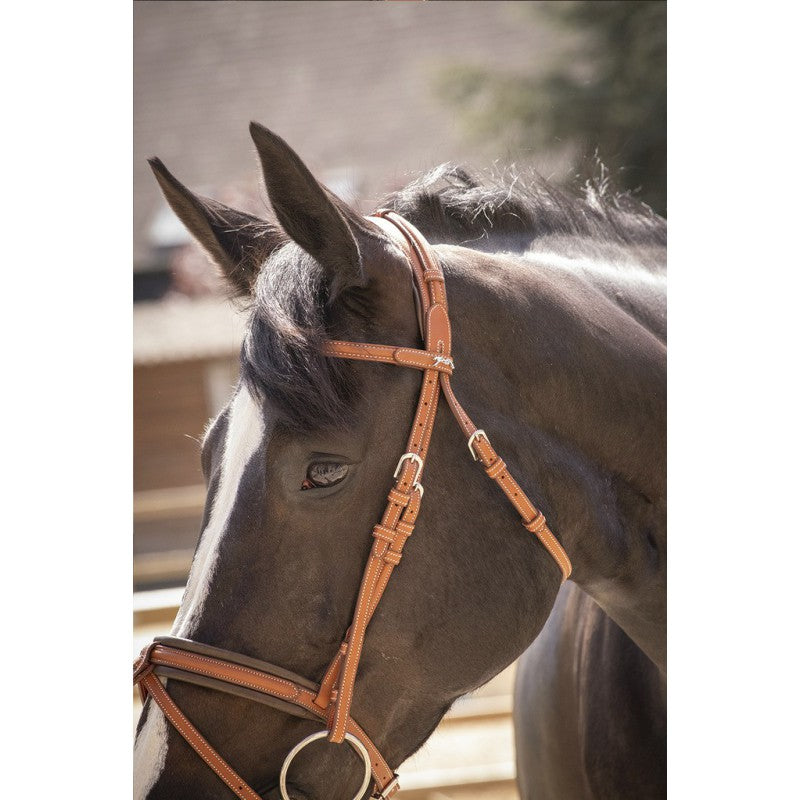 Equestrian anatomical bridle designed for improved pressure distribution.