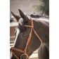 Equestrian anatomical bridle designed for improved pressure distribution.