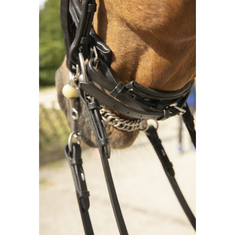 Dressage horse bridle for a classic competition tack setup.