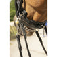 Dressage horse bridle for a classic competition tack setup.