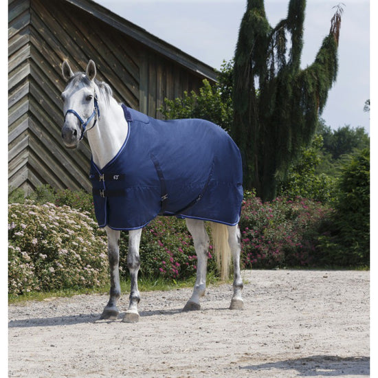 Equi-Theme Stable Rug