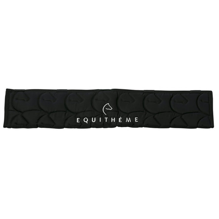 Stable Head Protector