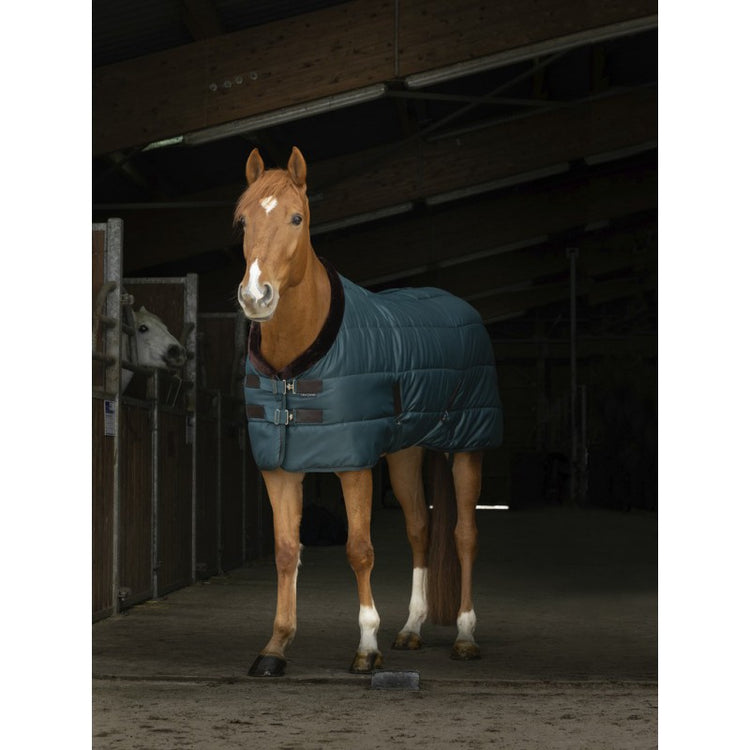 Indoor 200 gram rug for horses