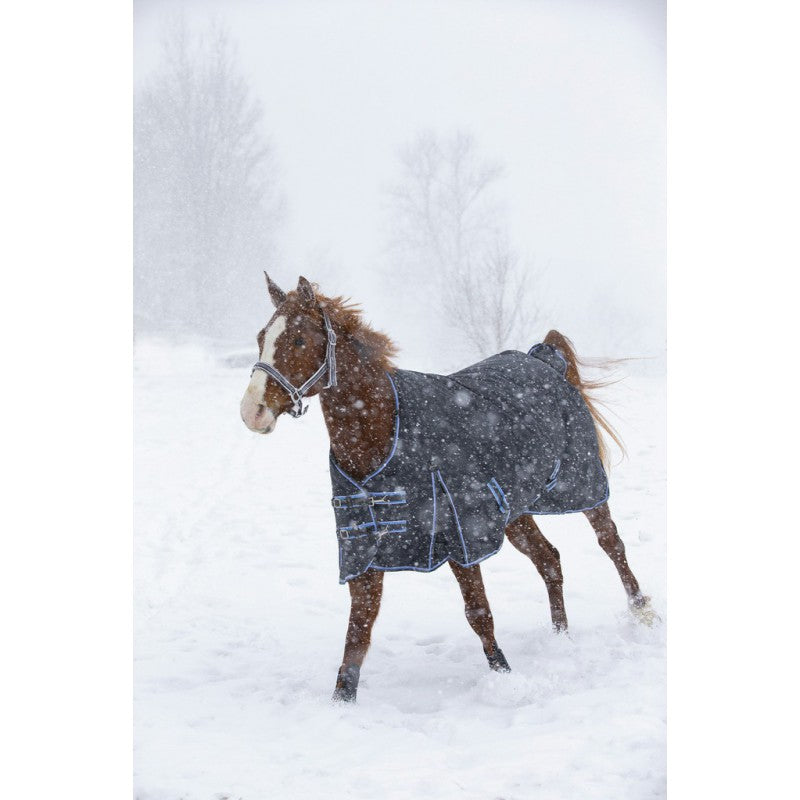 In 1200 Denier ripstop polyester turnout rug