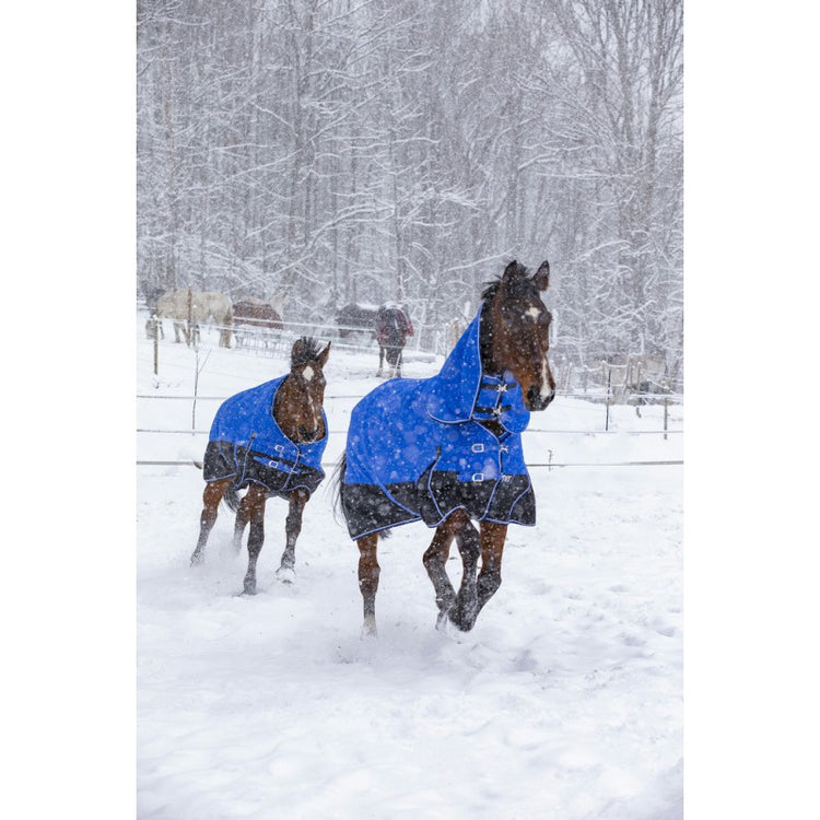 Waterproof and breathable high neck turnout rug 