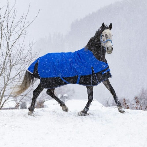 warm winter rug for horses with high neck