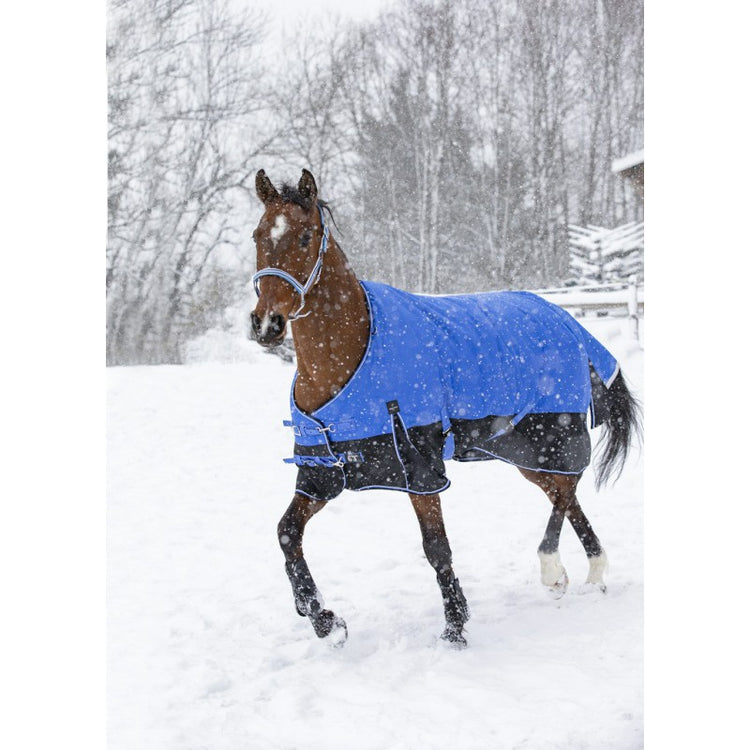warm winter rug for horses