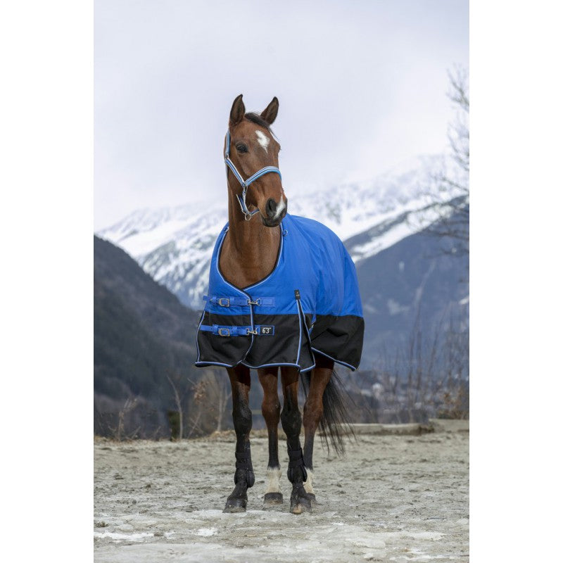 turnout rug  low-cross surcingles and thigh straps