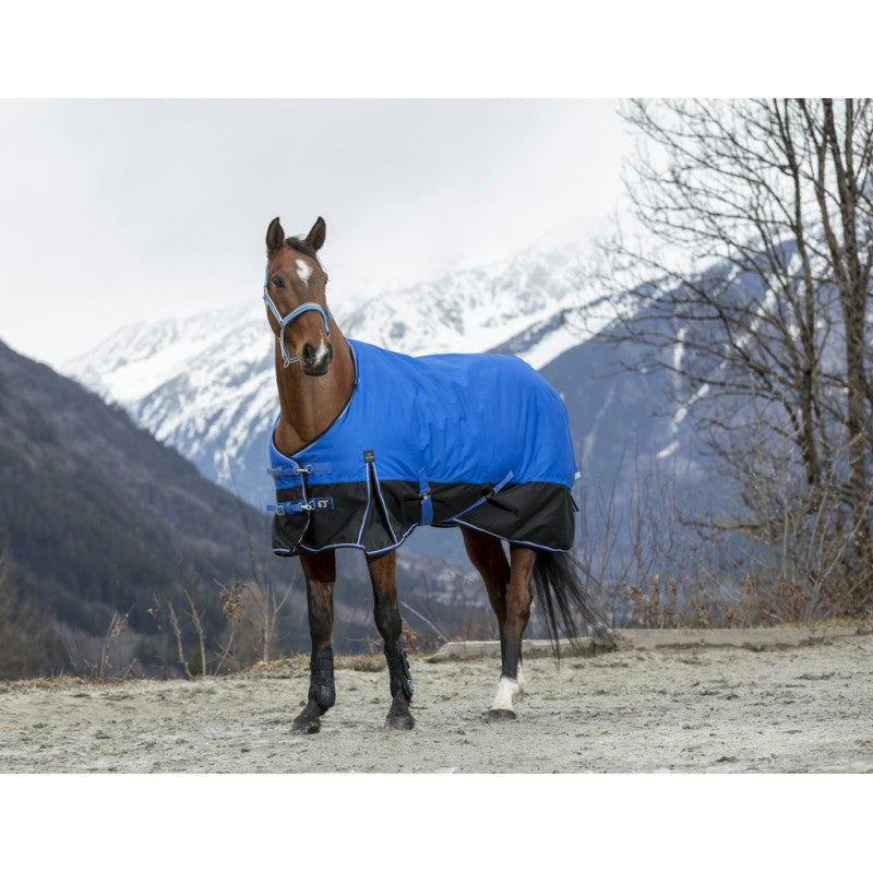 turnout rug with a tail flap featuring a reflective strap