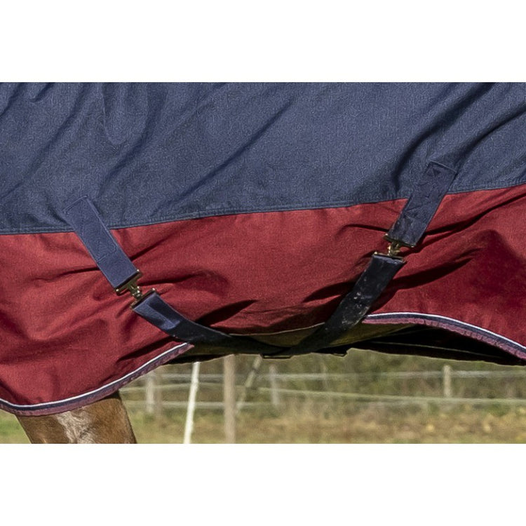 turnout rug with combo neck
