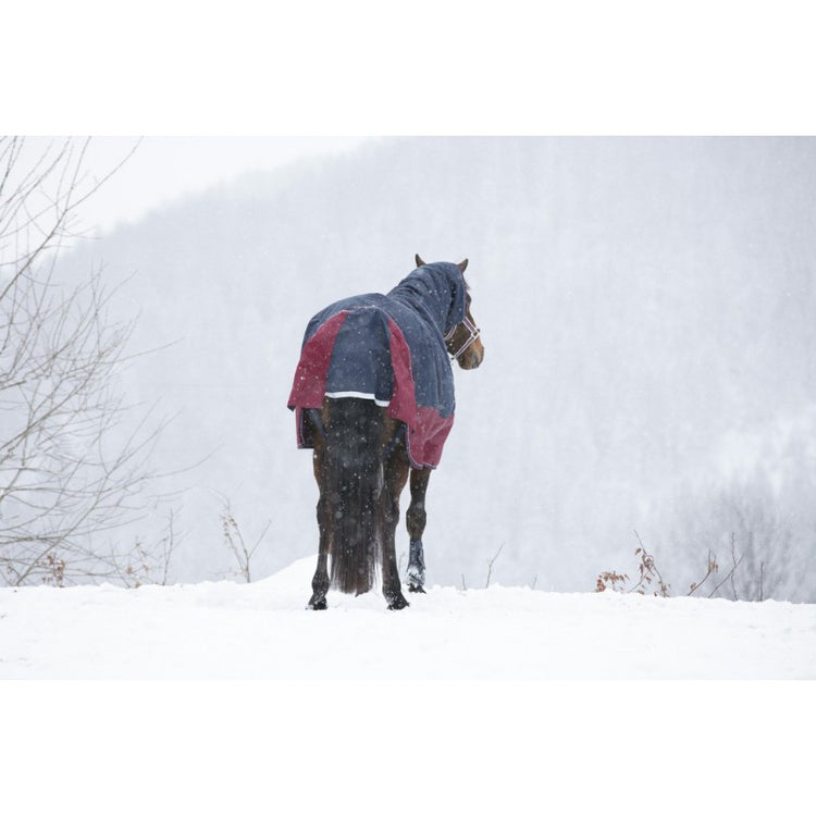 navy and burgundy winter turnout rug