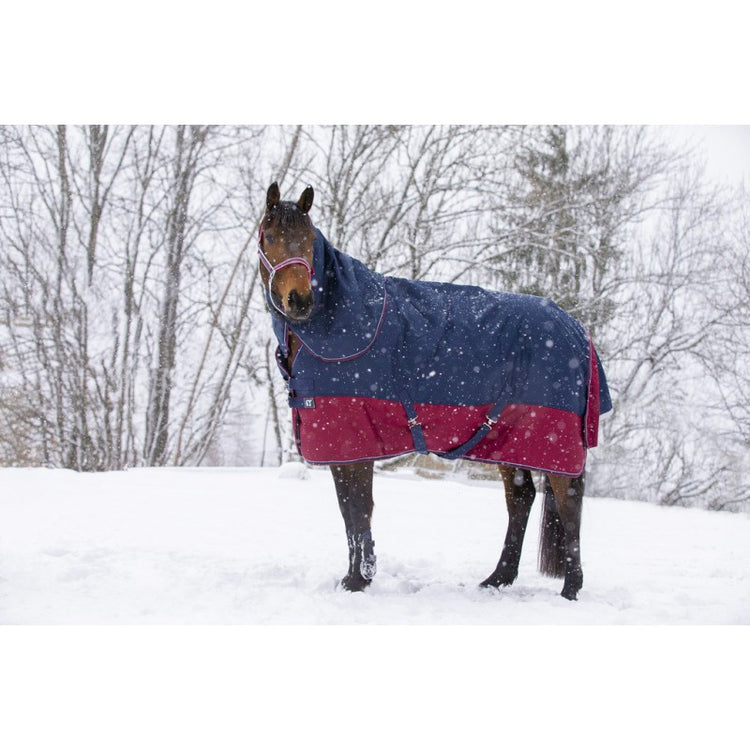 200g winter neck cover for horses