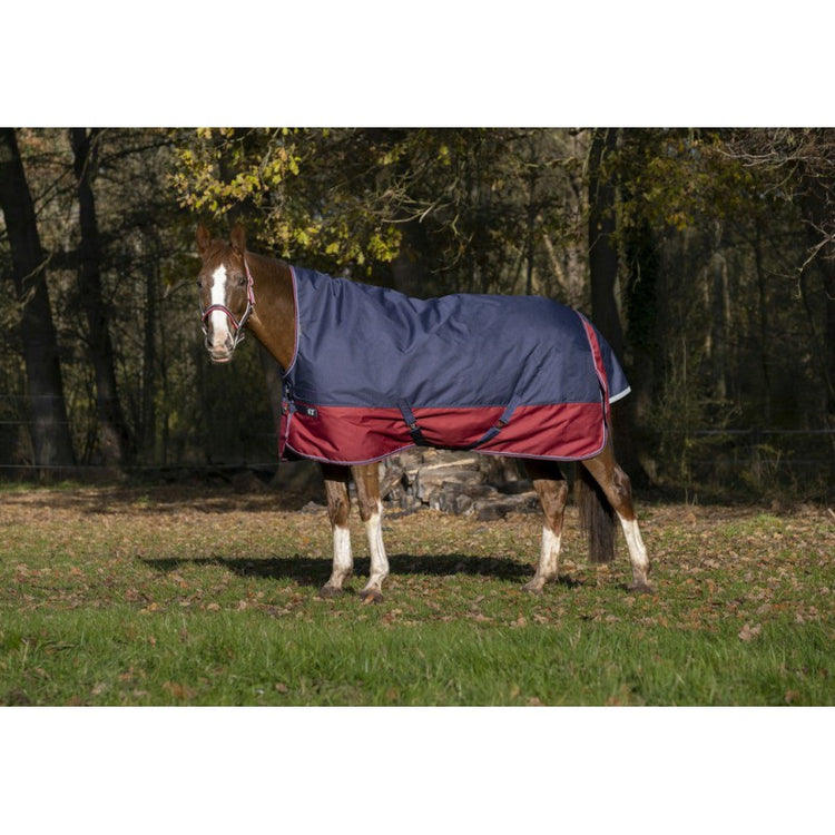 turnout rug with high neck